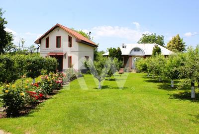 Casă individuală cu 5 camere cu Teren 7800 Mp în Cârja - 3