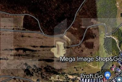 Teren de 7500 mp, în Baciu