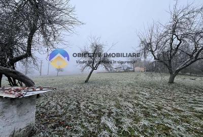 Casă cu 2 camere cu Teren 3054 Mp în Negrești (Dobreni) - 2