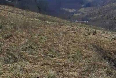 Teren de 20000 mp, în Râu Sadului - 2