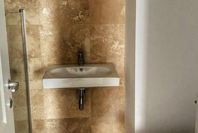 Herastrau  vis a vis Parc - 2