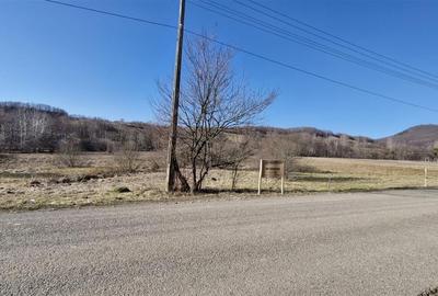 Teren Construcții intravilan de 3893 mp, în Borod - 3