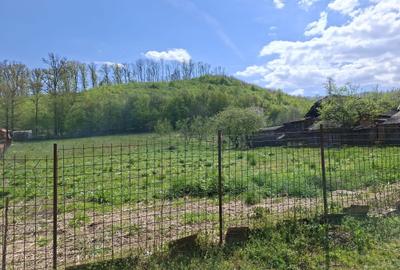 Casă cu 2 camere în Central - 2