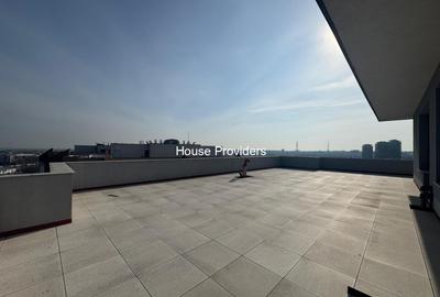 Penthouse cu 5 camere în Mihai Bravu - 10
