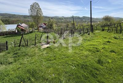 Teren Construcții intravilan de 14613 mp, în Bârseștii de Sus - 9