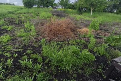 Casă cu 4 camere cu Teren 6000 Mp în Negostina - 1