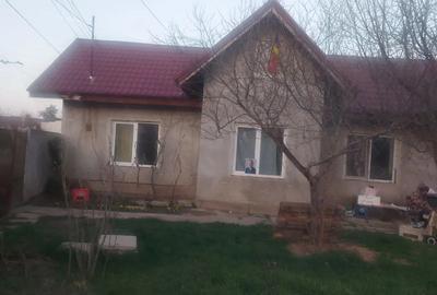 Casa cu gradina mare de inchiriat - 3