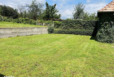 Casă cu 3 camere cu Teren 1994 Mp în Central - 4