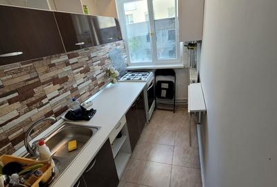 Apartament cu 2 camere nedecomandat în Banat - 7