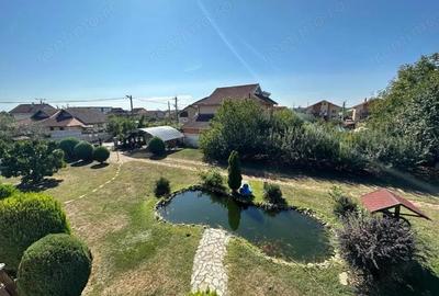 Vanzare proprietate impunatoare, strada Bujorului - cartier Primaverii - 10