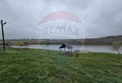 Teren extravilan de 129700 mp, în Iepurești - 4