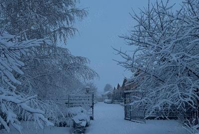 Casa de vanzare Casa de vanzare - 7