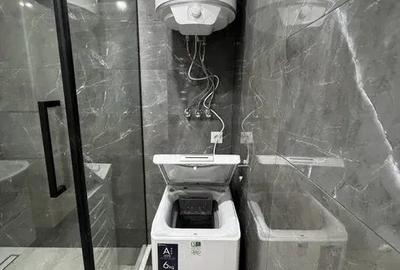 Apartament cu 2 camere decomandat în Domenii