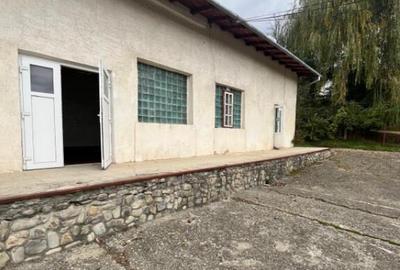 Spatiu comercial multifunctional, 1592 mp, Cacica (Pirtestii - 11