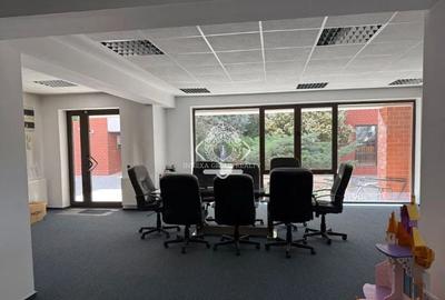 Cismigiu-Victoriei I Spatiu de Birouri I Complex Rezidential - 1