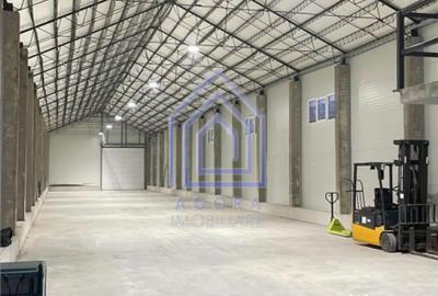 Spațiu comercial, de 680 mp, în Dumbrăveni - 10