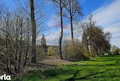 Teren de 10000 mp, în Vânători-Neamț - 4