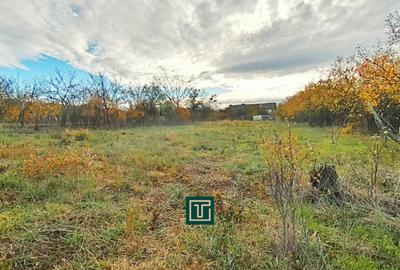 Teren intravilan de vânzare în Aluniș, județul Arad Teren intravilan de vânzare în Aluniș, județul Arad - 5