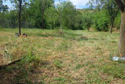 Casă cu 4 camere în Doicești - 3