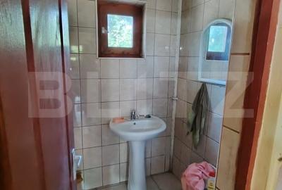Casa renovabila 2,2 arii taren in Raciu - 13