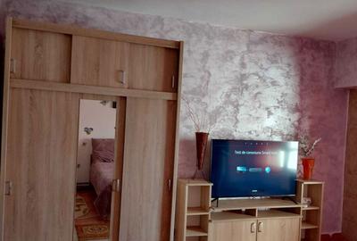 Garsonieră decomandată în Nicolina - 2