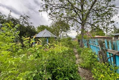 Casa + teren 4430 mp, vie si pomi fructiferi, 22 km de Tecuci - 23