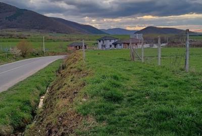 Teren Intravilan 1800mp  in Poplaca - 2