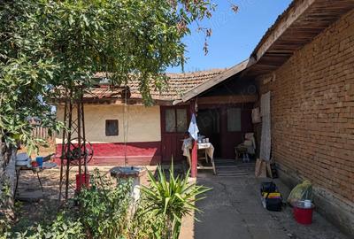 Casa de vanzare (curte 1900mp) Dragoe?ti, jud. Ialomi?a (40-50 km de Bucure?ti) - 7