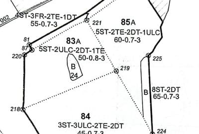 Teren extravilan de 480000 mp, în Corbii Mari - 1