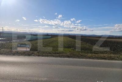 Teren de 4900 mp, în Central - 3