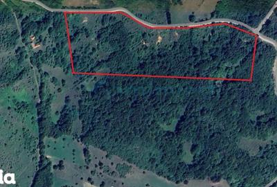 Teren de 64500 mp, în Vadu Crișului - 1