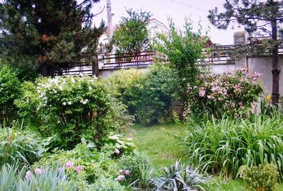 Vanzare vila cu D+P+Et +M, intravilan 1670 mp, Saftica - 40