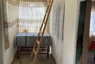 Casă cu 5 camere cu Teren 8000 Mp în Orlești - 2