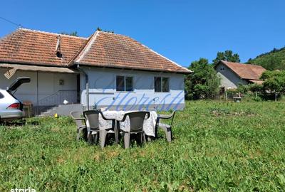 Casă cu 2 camere cu Teren 2200 Mp în Zimbor - 4