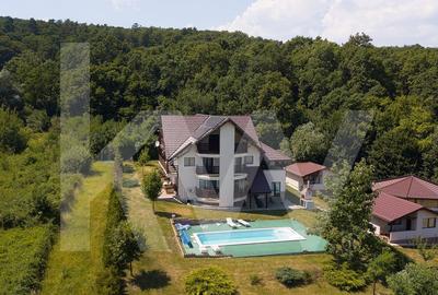 Vila exclusivista cu piscina si panorama de vis Cisnadioara