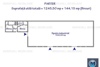 Spatiu industrial de inchiriat, zona Exterior Vest, 1500 mp #16483 - 14