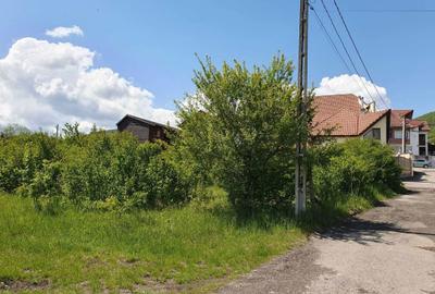 Teren de 1660 mp, în Vulcan - 3