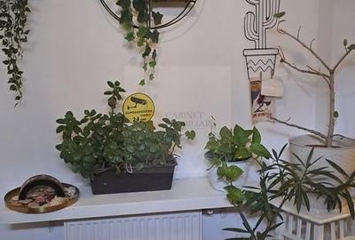 Casă cu 3 camere cu Canalizare în Cișmigiu - 11