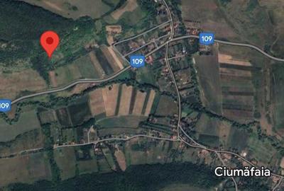 Teren de 19900 mp, în Ciumăfaia - 2