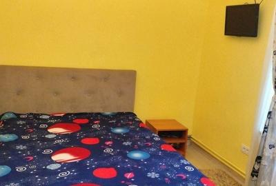 Apartament cu 3 camere, curte comuna, zona Mehala - 10