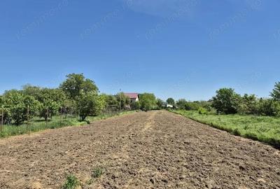 Teren de 2658 mp, în 1 Decembrie - 6