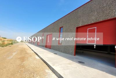 Hale industriale, parc modern, Rudeni, Chitila, Ilfov- ID 15462 Hale industriale, parc modern, Rudeni, Chitila, Ilfov- ID 15462 - 23