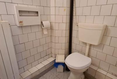 Spațiu comercial, de 76 mp, în Nerva Traian - 3