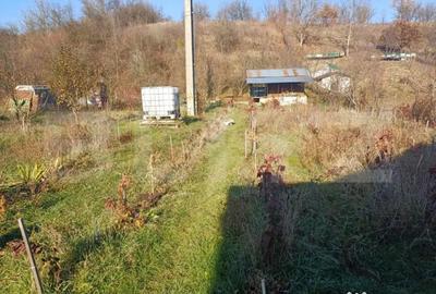 Casă cu 3 camere cu Teren 2000 Mp în Central - 8