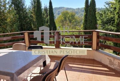 Vila  Provita de  Jos 380mp - 6