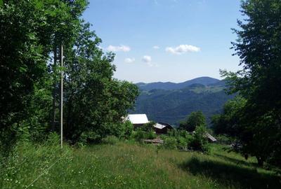 Teren de 5619 mp, în Măguri - 6
