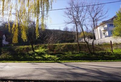 Teren de vanzare in Leamna de Jos - 7