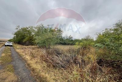 Teren intravilan 1700 mp de vanzare Polcesti  Strada Crangului - 9