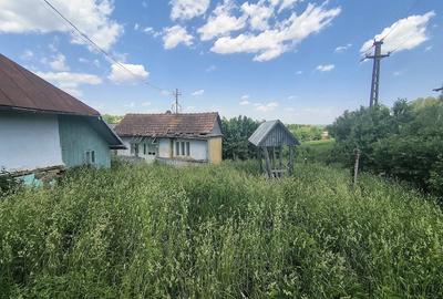 Casă cu Teren 3200 Mp în Horodnic - 1