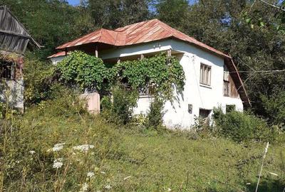 Casă cu 2 camere cu Teren 3100 Mp în Bunești (Mălureni) - 2